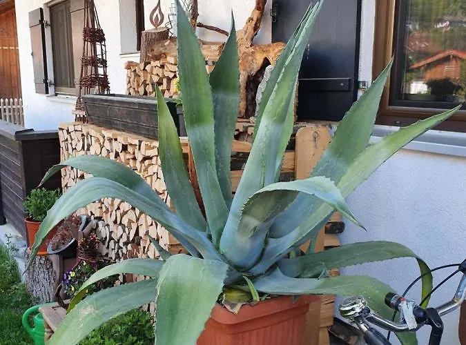 Heimbeck Kochel Appartement
