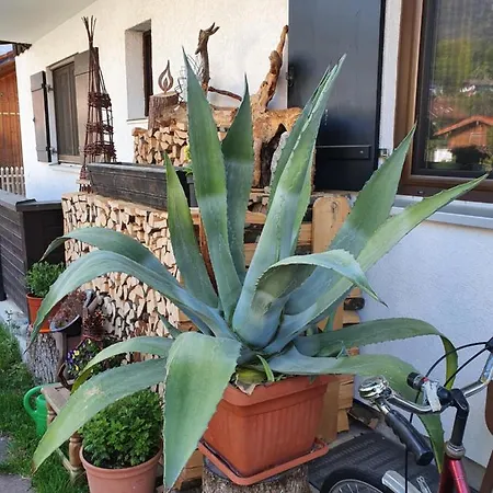 Heimbeck Kochel Apartment